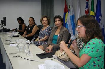 Foto - Apresentação relatório final CPMI violência contra a mulher