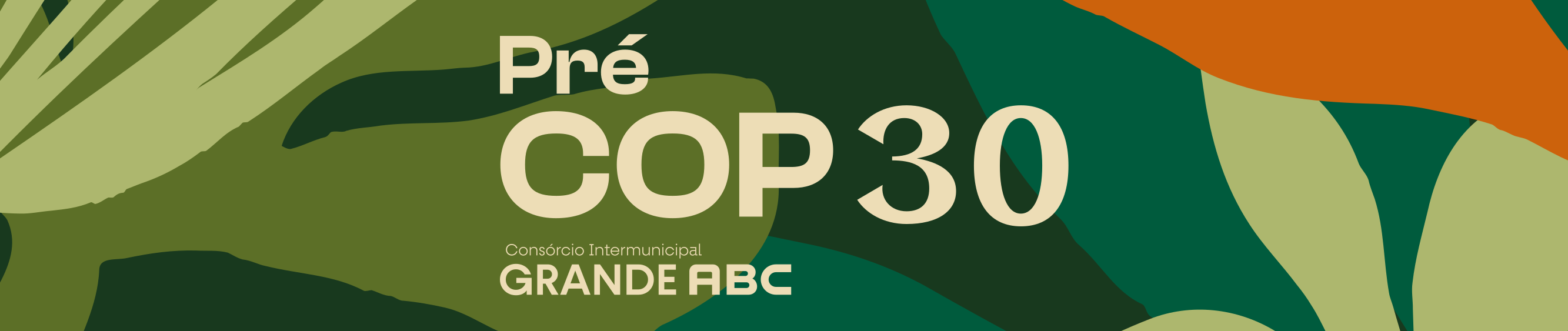 Pré COP30