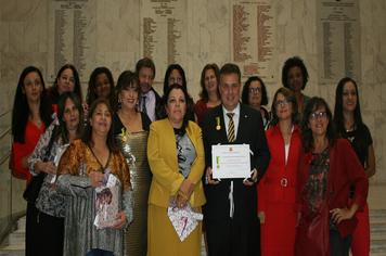 Entrega de Medalha Ruth Cardoso reconhece trabalho da Casa Abrigo